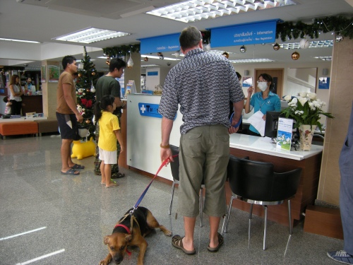 まず受付で手続きします。予約しておいた方がベター