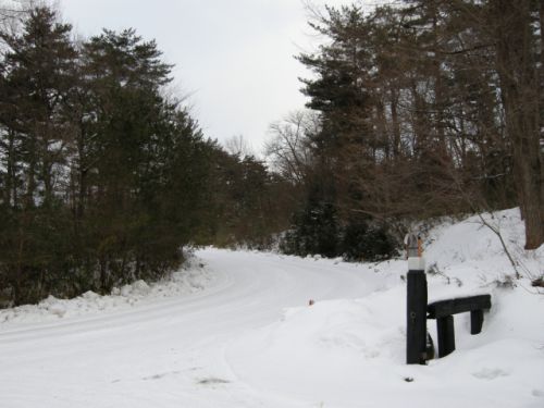 雪に覆われた道