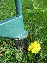 根元を狙うのが肝心です（写真２）