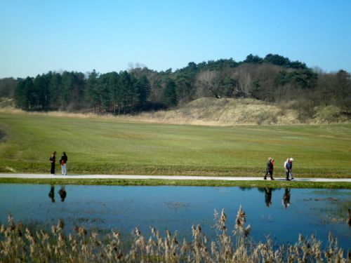 公園内は湿原風景もあらわれます