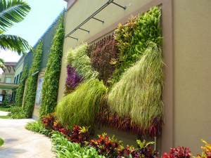 通りをゆく人を和ませてくれるグリーンのウォールがさすがの演出