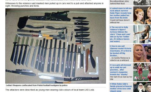 Mail Onlineより;押収された武器