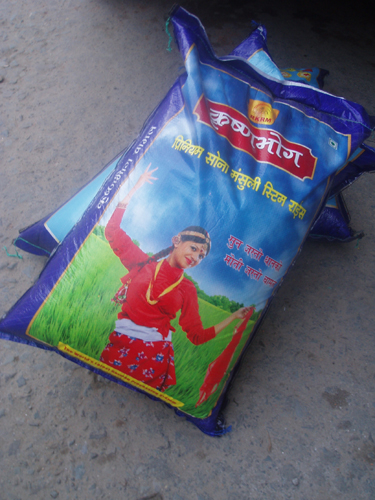 田んぼの中でダンス