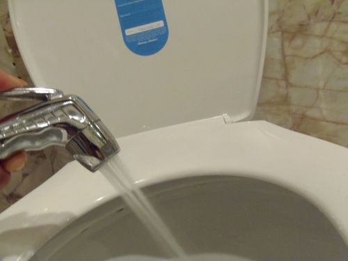 水の勢いはかなりのものです　