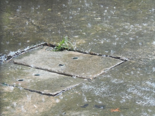 排水溝の数は多く設置されています