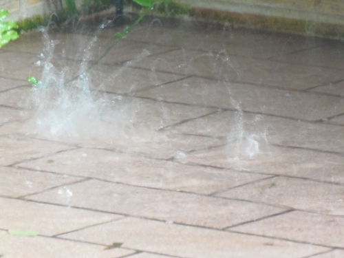 水しぶきも豪快！