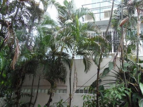 まさに東南アジアのイメージです