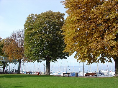 エビアンの町にある湖畔の遊歩道。（画像は昨年秋に撮影）