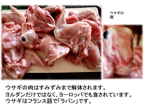 解体されたウサギのお肉たち