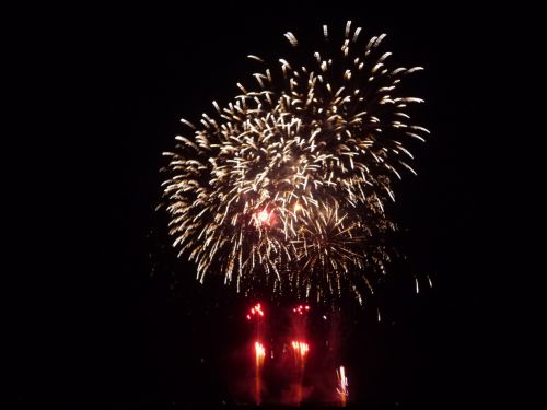 たくさんの花火が夜空を彩る