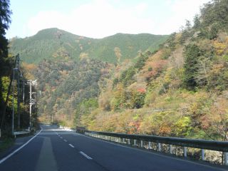 山の紅葉