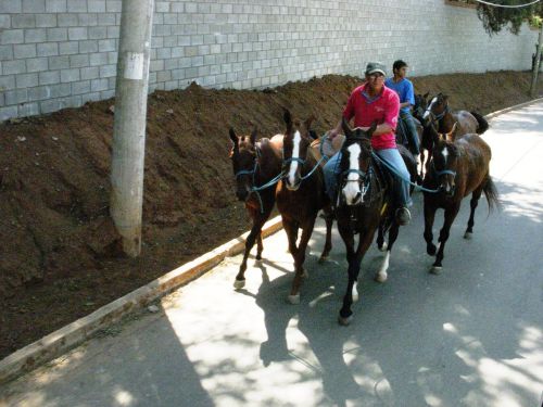 サンパウロ州インダイアツーバ市の郊外を馬で移動する住民
