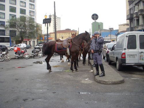 サンパウロ市内で停まっている警察の騎馬隊