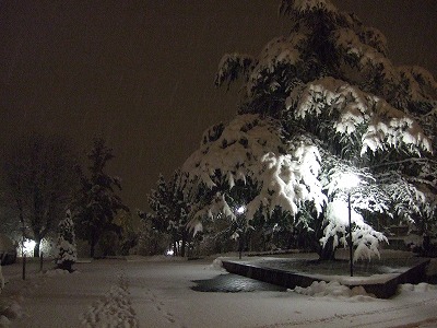 まだ夜も明けない朝の6時半。静かに雪が降り続けています。