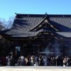 豪華絢爛な初詣
