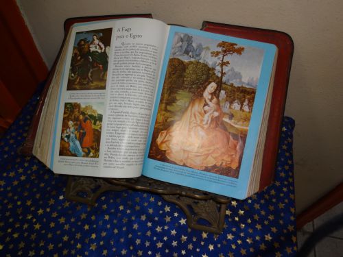 サンパウロ州立学校（基礎教育課程）に置かれている聖書