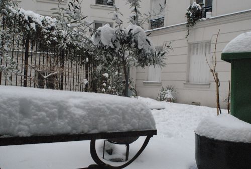 1月20日の午後撮影。中庭に積もった雪です。