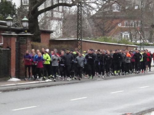 日曜の朝はいつもこの光景が見られます。