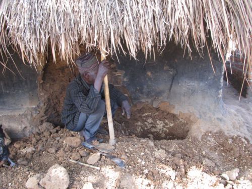レンガの壁を人の大きさほどまでに浸食された人家。