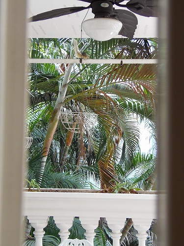 最初はそーっと見ていましたが、意外と気づきません