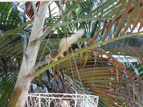 帰っちゃう？　また来てね