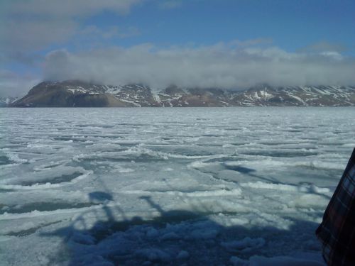 寒いけれど本当に美しい自然ですね…