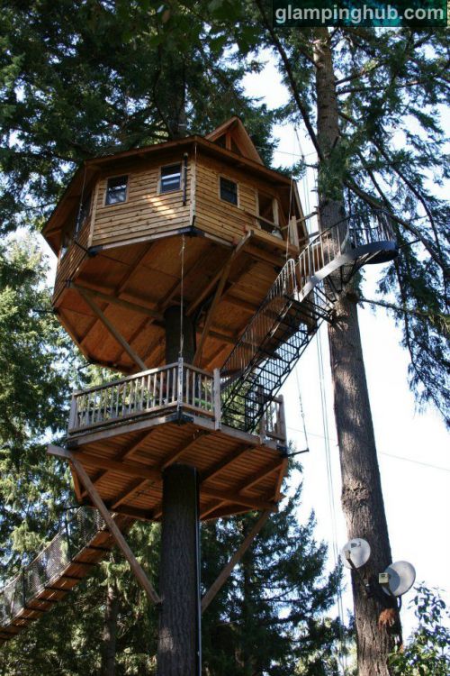 「普通の建物に泊まるより、ユルトやツリーハウスに泊まるほうが特別な体験になるよね」とGlampinghub.comの創始者のデビットさん。写真はアメリカ・オレゴン州にあるツリーハウス© glampinghub.com