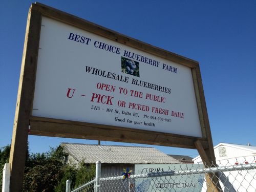 U pick(You pick) ご自分で取ってね、の看板