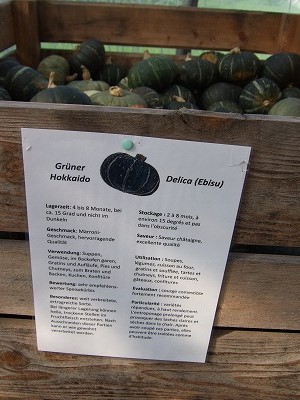 大きな木の箱にたくさん入った日本のカボチャ、Hokkaido。どんな料理に適しているか、なんて説明書きがありました。