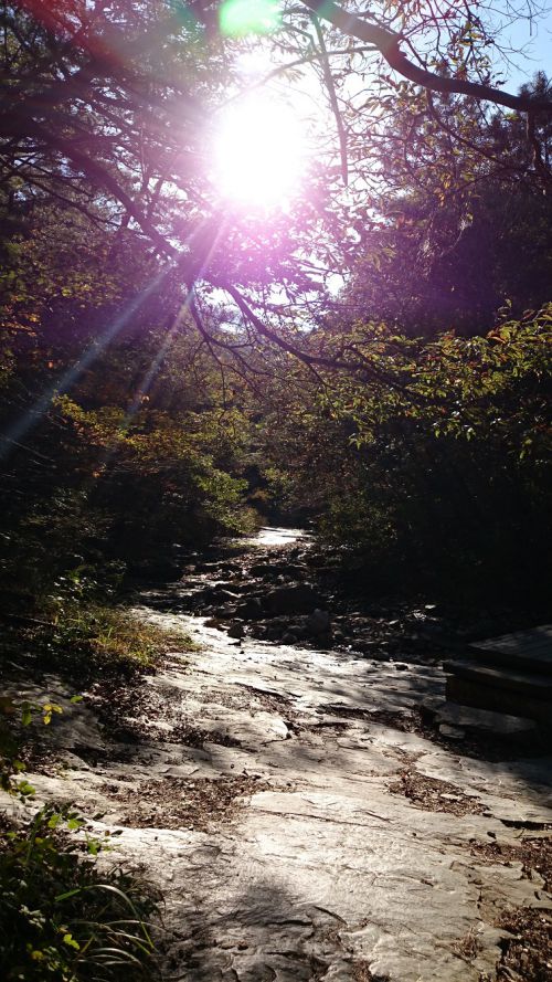 テジョン中心部からも車で30分ほど、鶏龍山国立公園内にある、ストンゴル地区ビンゲ山
