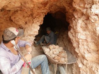 中央が「ラッキーボーイ」。眼光するどいです。