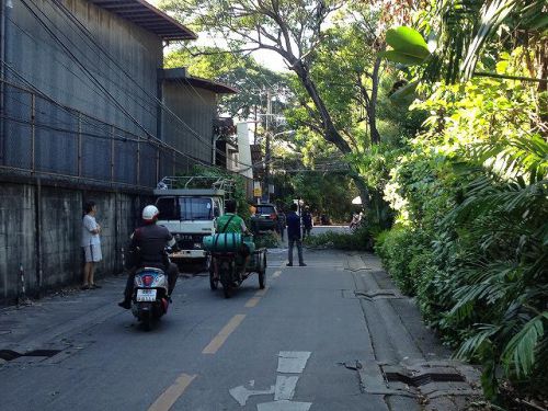 あ、伐採作業をやってる