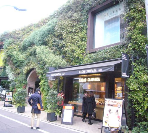 壁一面に自然の草花が