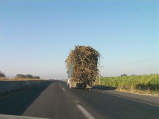 もう、何が走っているのかすら分からなくなり。。