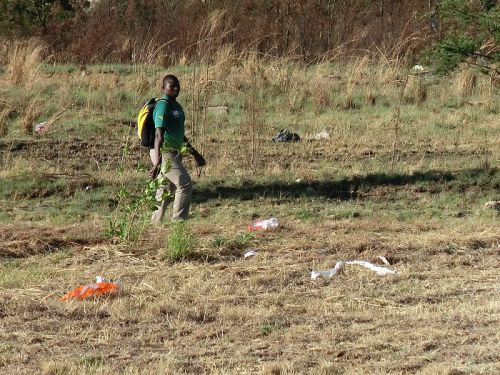 歩きながらポイ捨てする人も多数。残念です