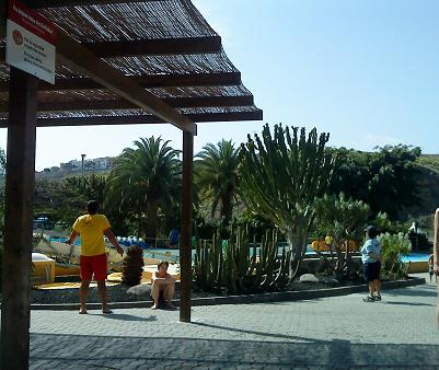 熱帯植物に囲まれた屋外リゾートプール