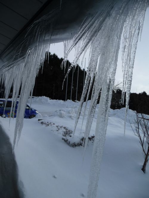 つららの大きさも半端ない