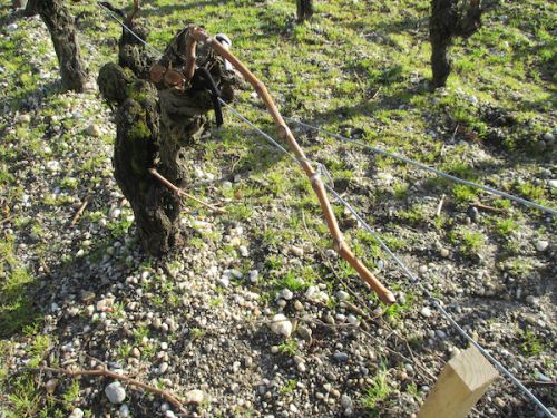 各枝がワイヤーにとめられて、これで完成！