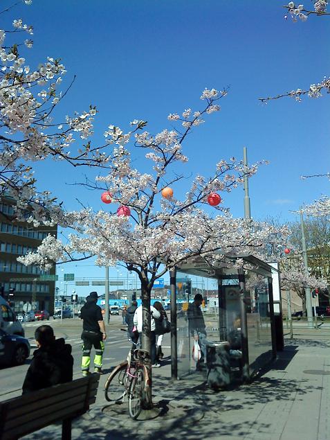 PRのため、日本的な「ちょうちん」の飾り付け
