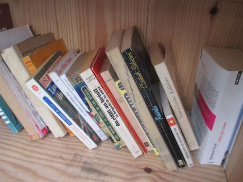 フランス語に交じって他言語の本も見つかることも！