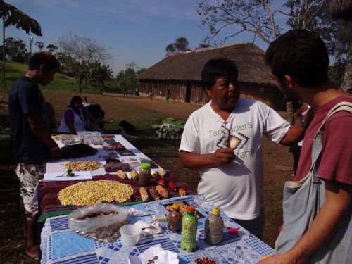 テノンデ・ポランで新しく蒔く種子をお披露目するテーブル（2014年7月4日）