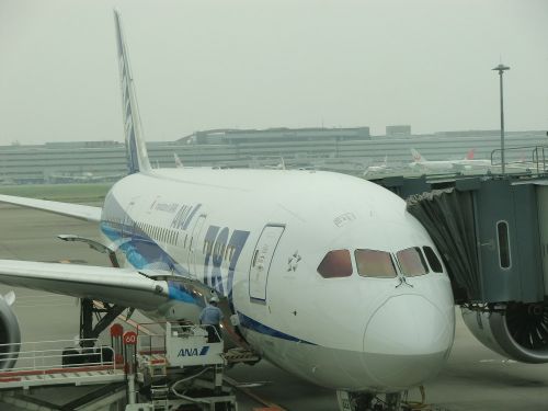 羽田国際空港で、ゲート内よりガラス越しに撮影。機体の787が光る