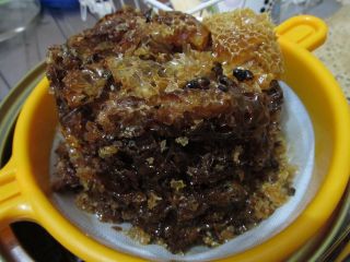 すっかり見慣れてしまった、ハチと巣。