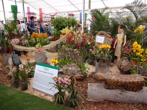 2014年のアルジャー花祭りの展示場で、インジオのオブジェクトと花の装飾