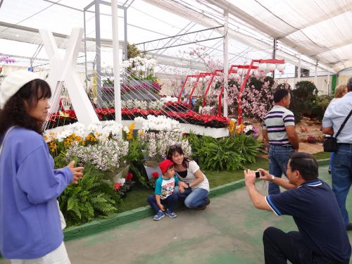 サンパウロの斜帳橋と東洋人街のちょうちん電燈のオブジェクトと花の装飾
