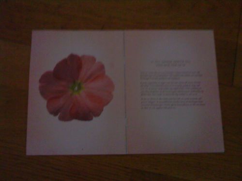 子宮頸がん検診をうけるともらう、結果の通知法や詳しい情報についてのパンフレット