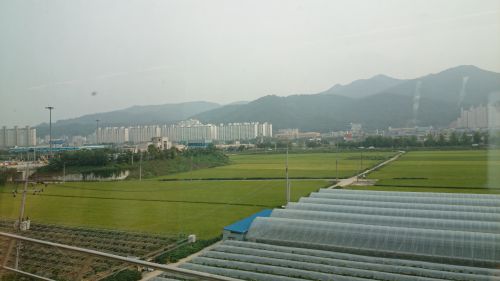連休４日目、韓国一部地域では大気汚染が環境基準超でした。これから本格的なPM２．５の季節です。
