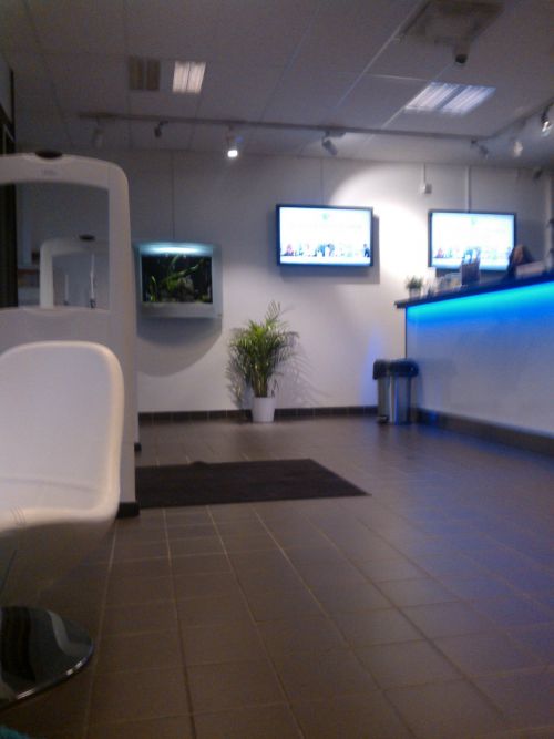 スポーツジムのエントランスに熱帯魚水槽