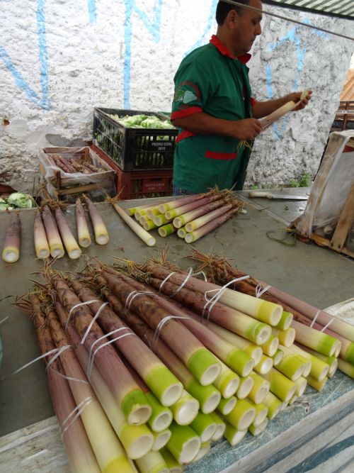 サンパウロのフェイラで販売されるタケノコ（10月）