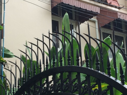 矛先がこちらに向かっています…